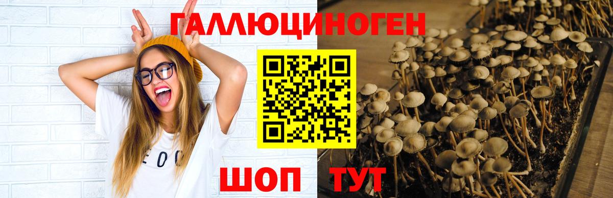Усть-Джегута  Псилоцибиновые грибы MAGIC MUSHROOMS  Вход с VPN 